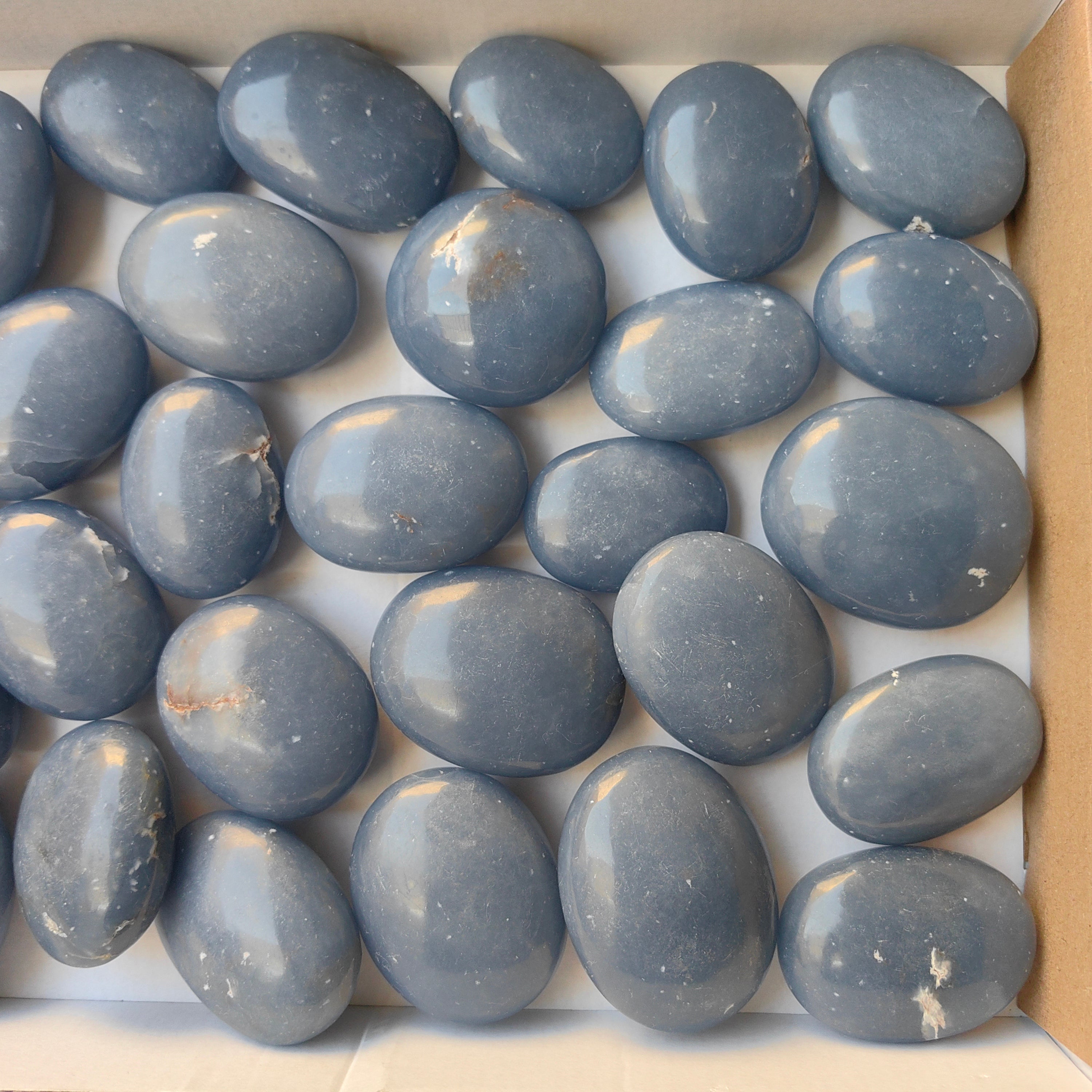 Lot 31 pcs Angelite Palm