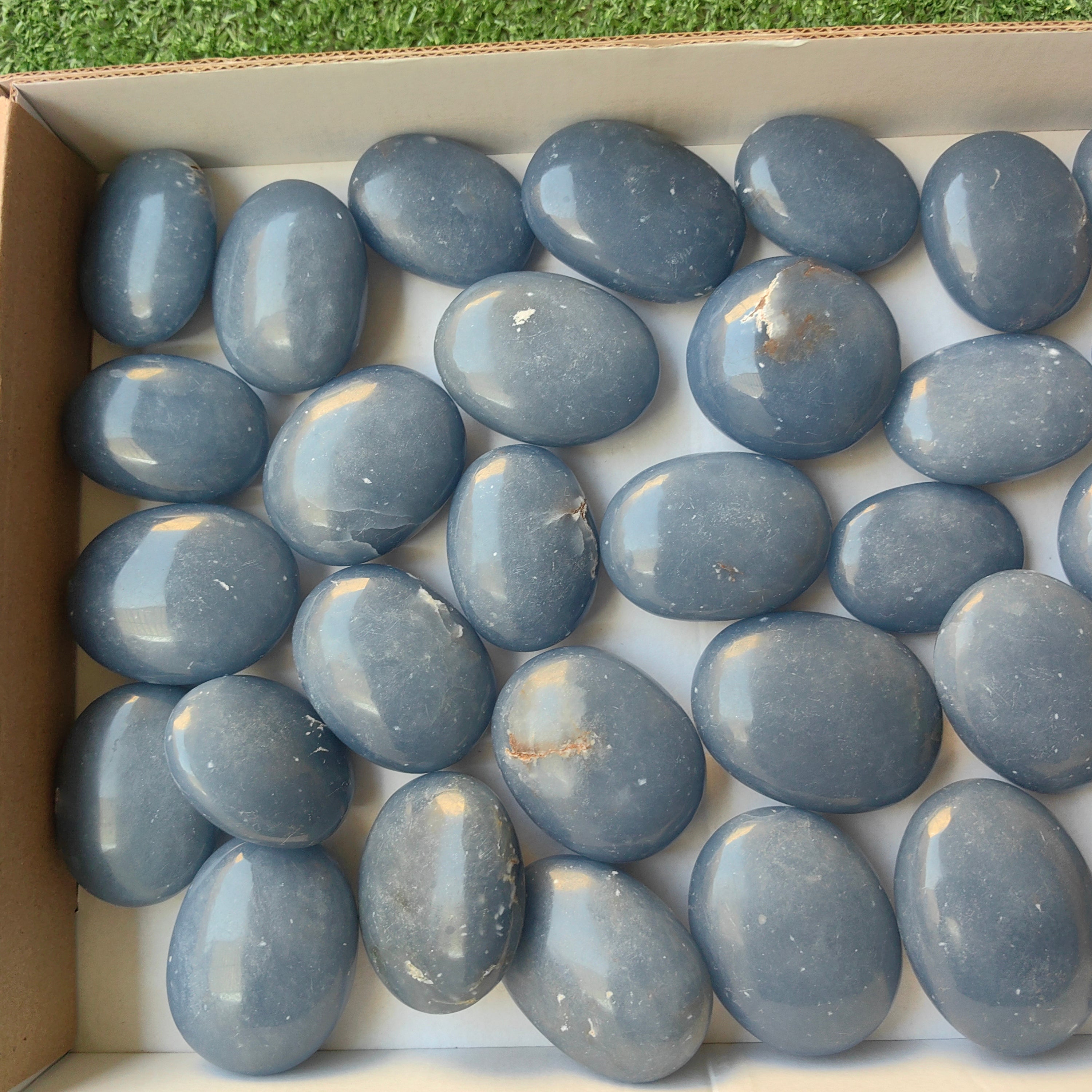 Lot 31 pcs Angelite Palm