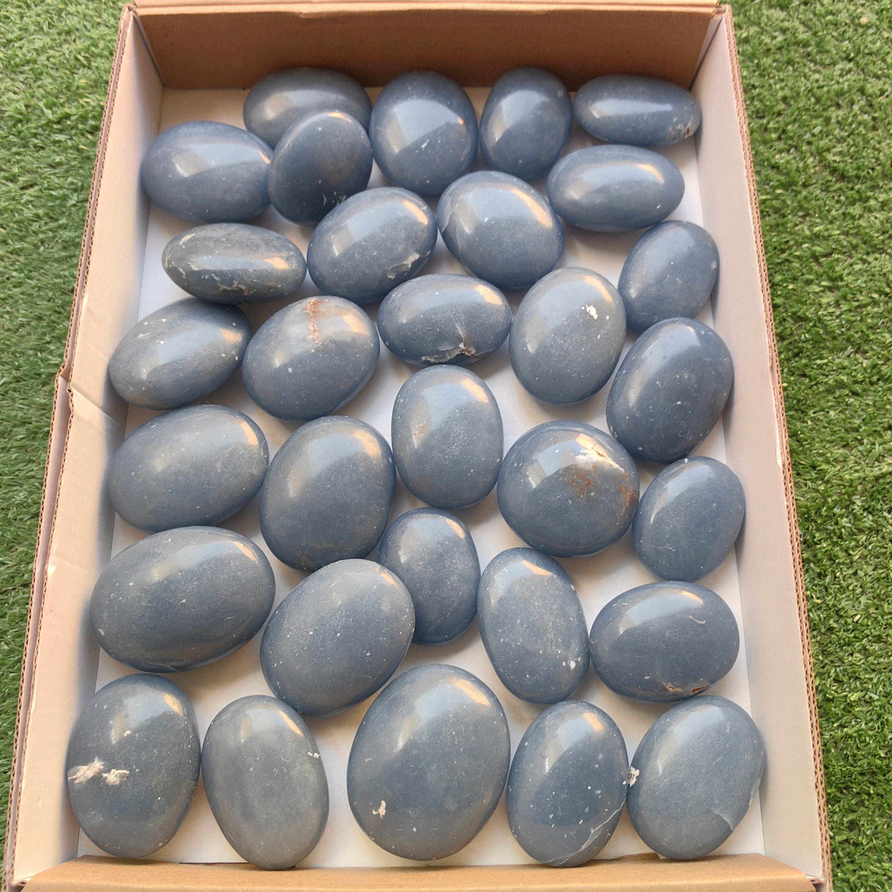 Lot 31 pcs Angelite Palm
