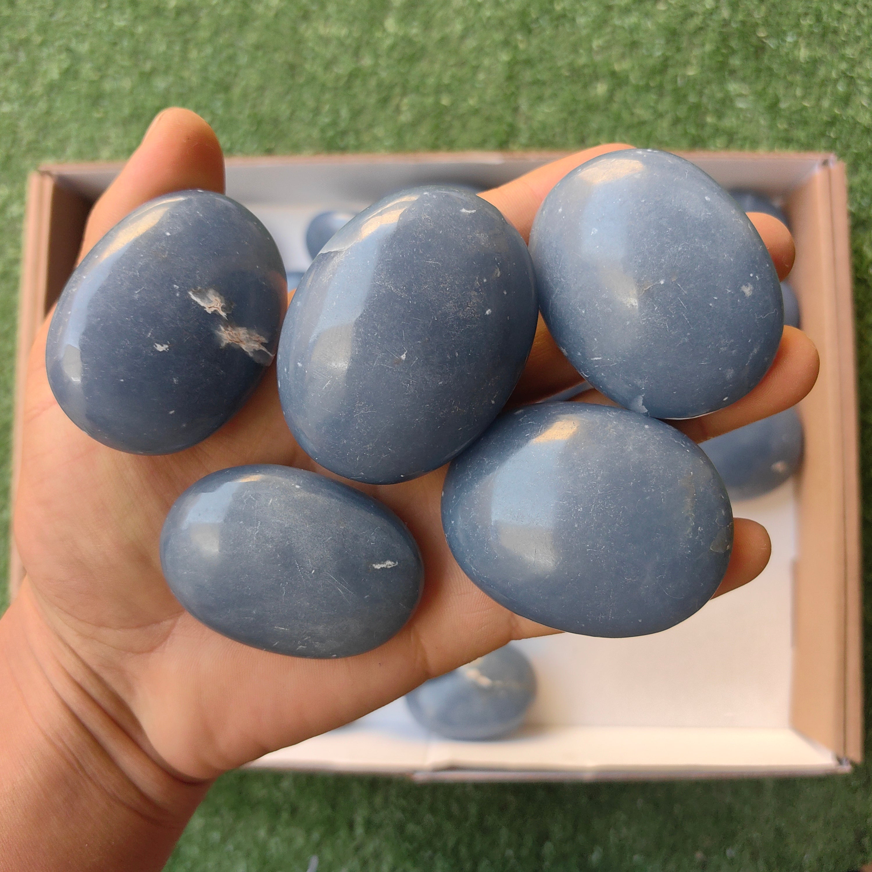 Lot 31 pcs Angelite Palm