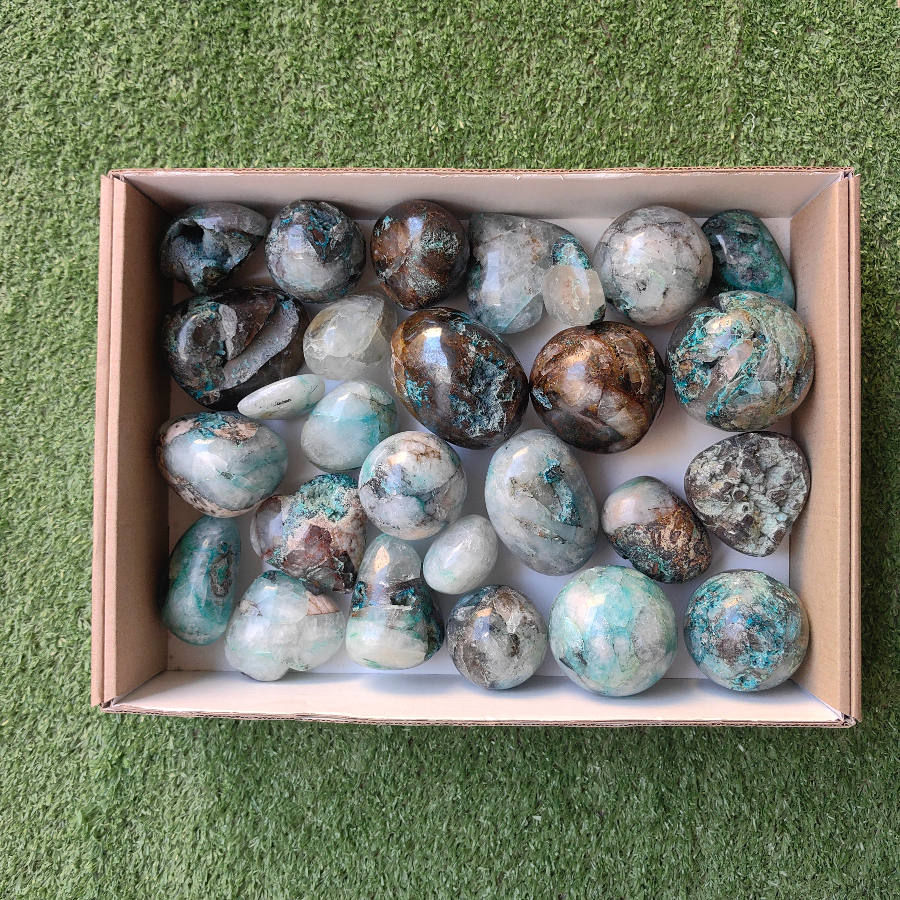 Lot 27 pcs Quantum Quattro Free Form