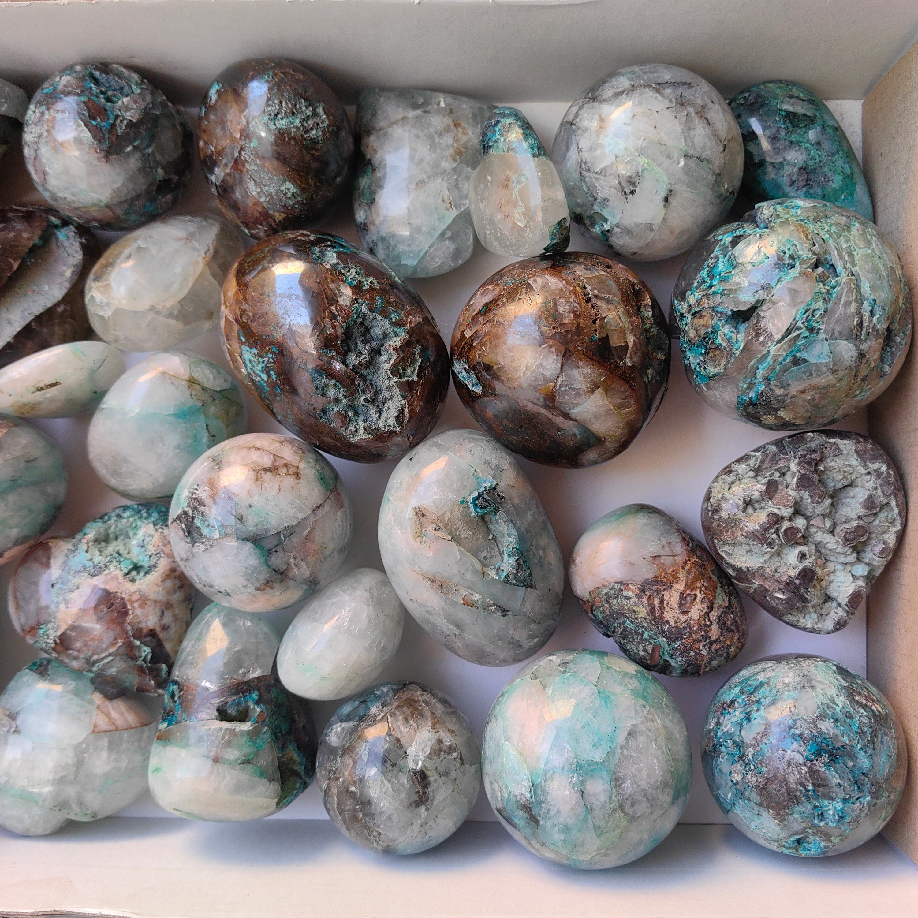 Lot 27 pcs Quantum Quattro Free Form