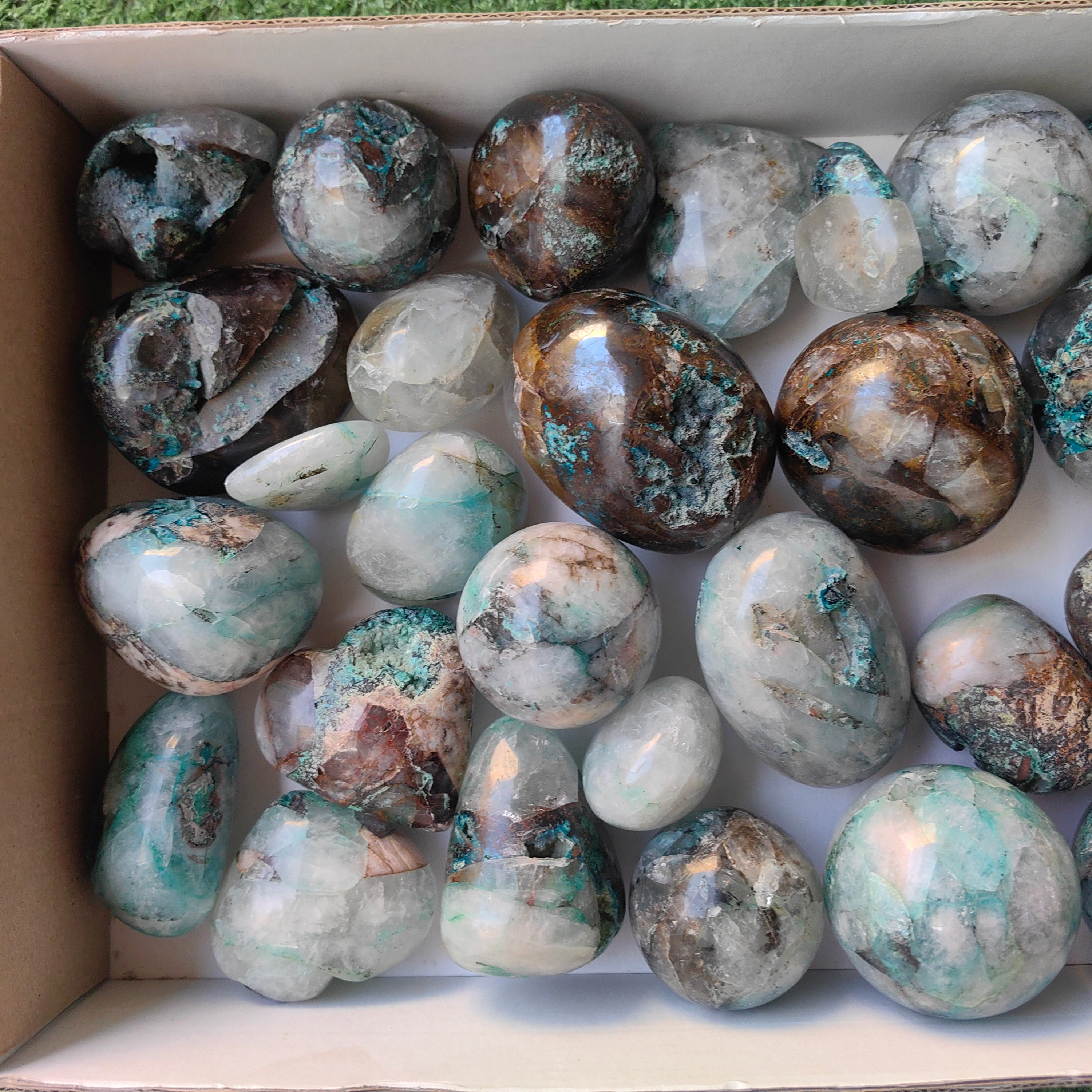 Lot 27 pcs Quantum Quattro Free Form
