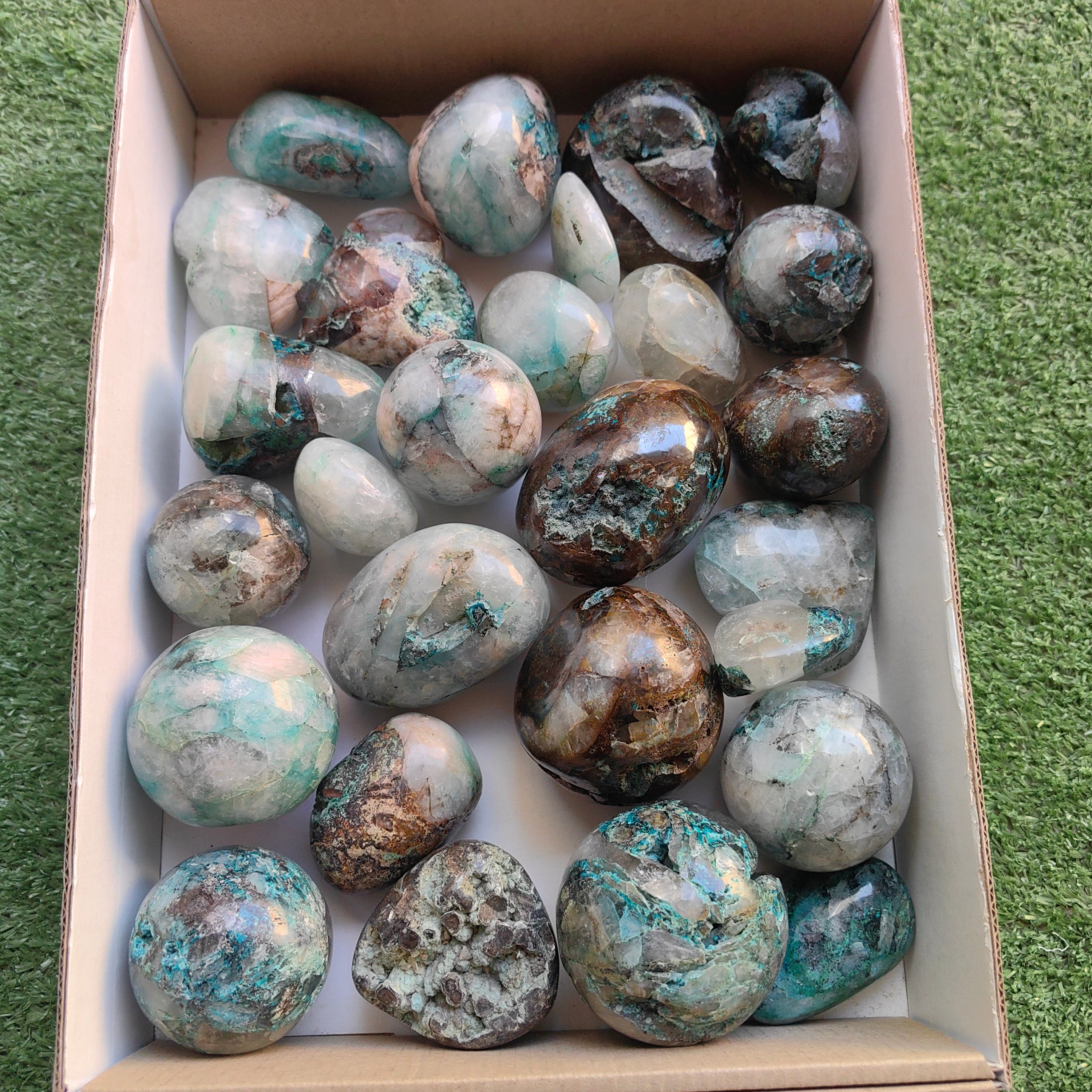 Lot 27 pcs Quantum Quattro Free Form