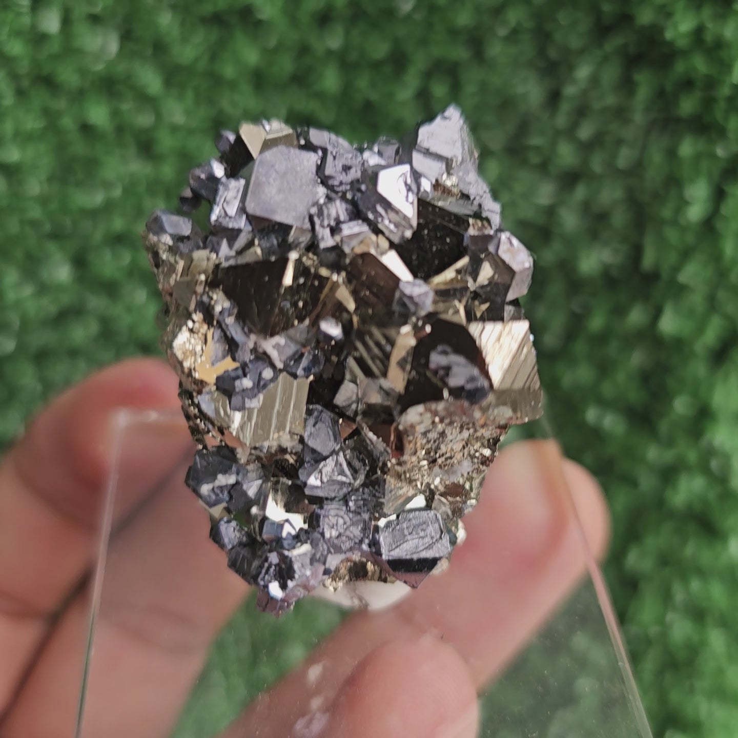 Load video: Galena with Pyrite octahedral