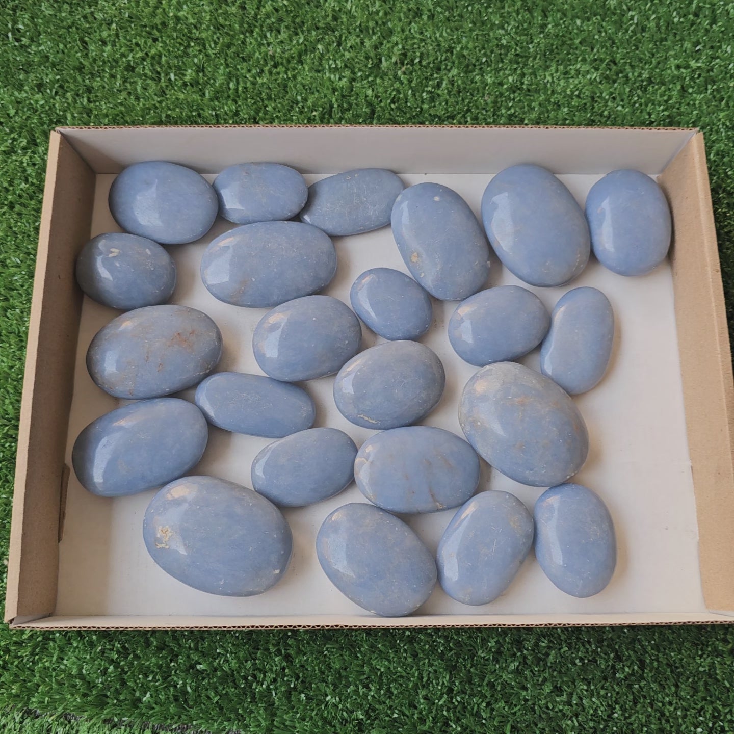 Load video: Lot 33 pcs angelite palms