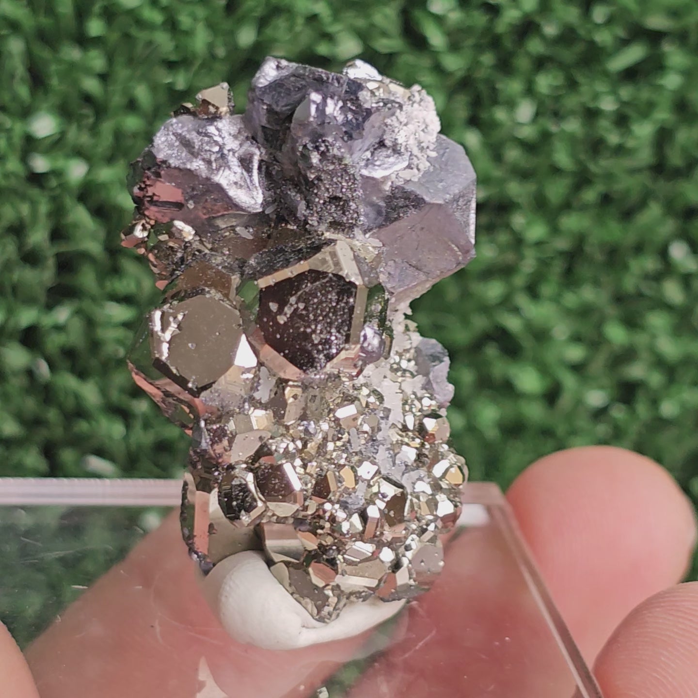 Load video: Galena with Pyrite octahedral