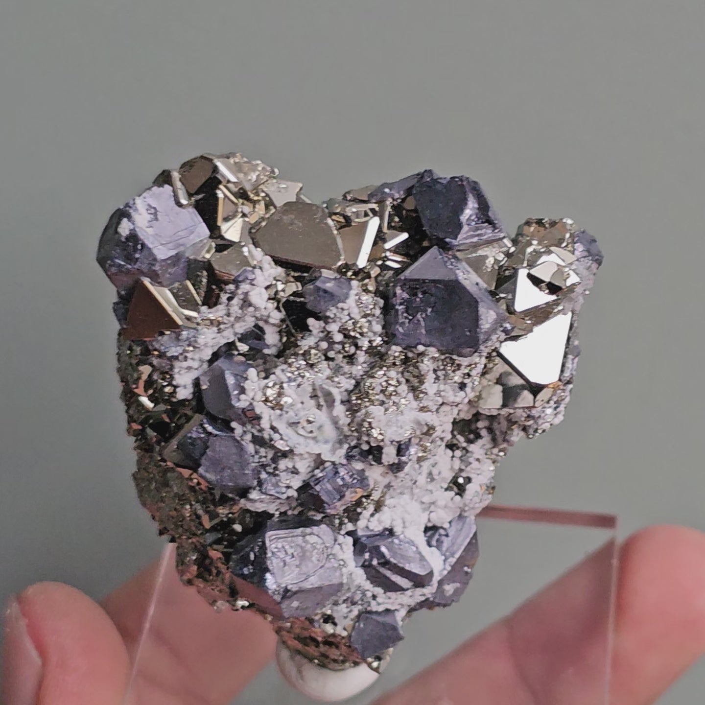 Load video: Galena with Pyrite octahedral