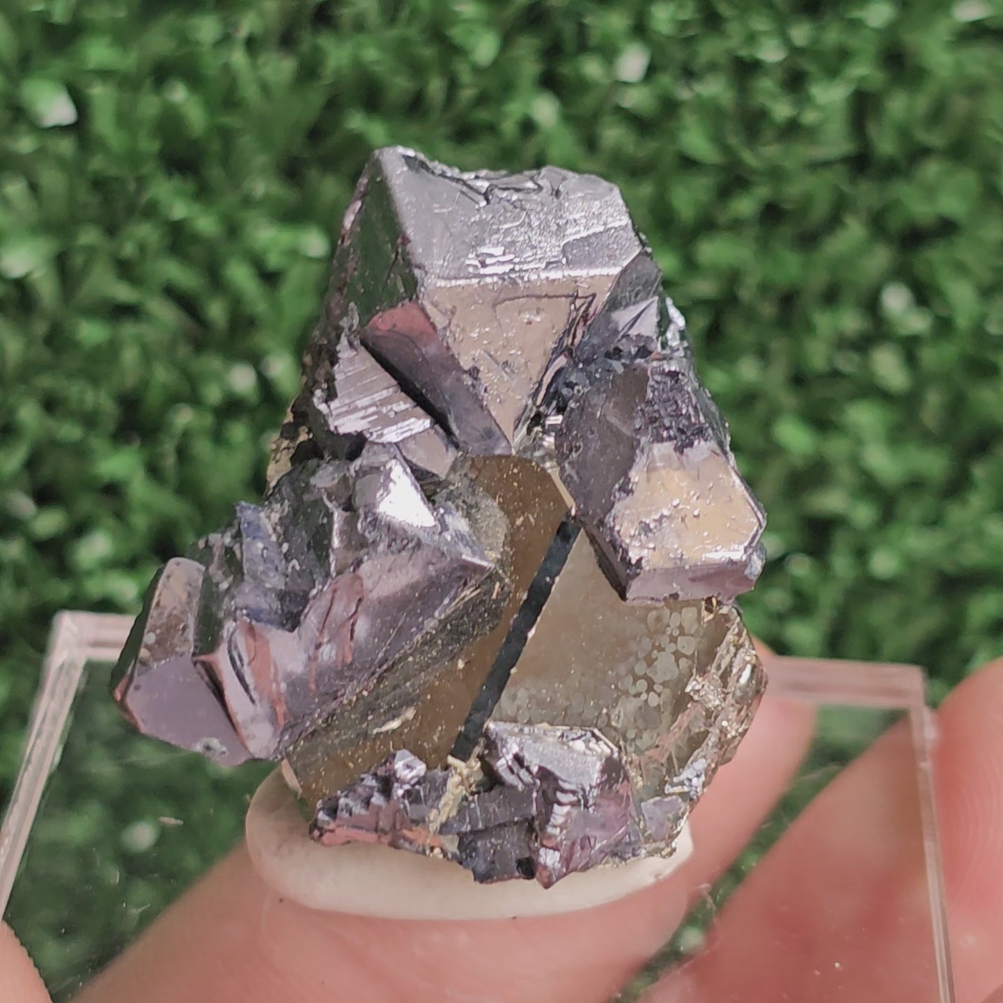 Load video: Galena with Pyrite octahedral