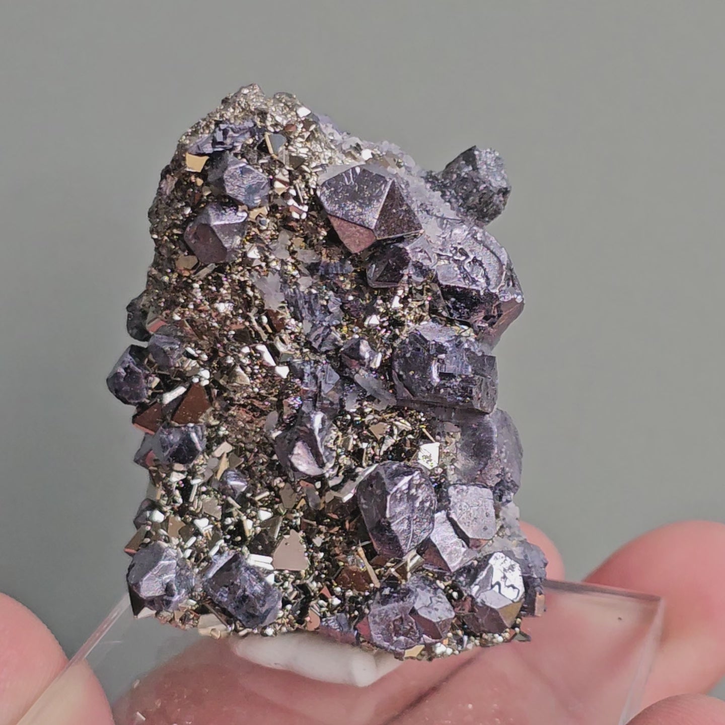 Load video: Galena with Pyrite octahedral
