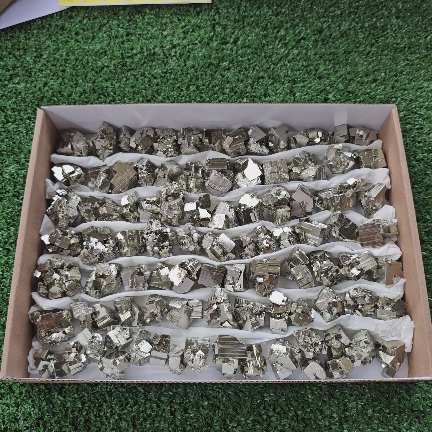 Load video: Box 90 pcs pyrite Octahedral