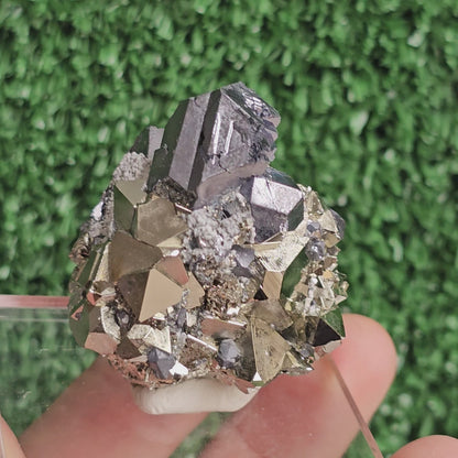 crystallized galena with Pyrite octahedral