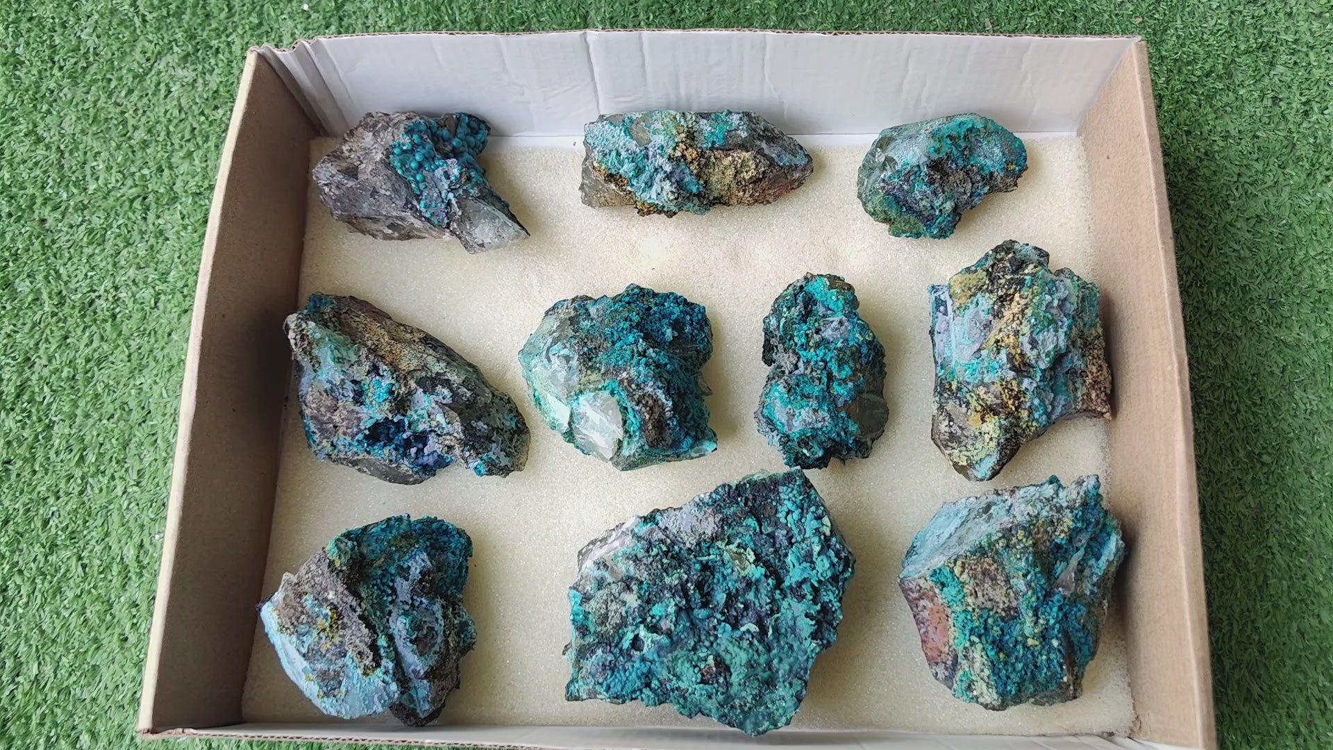 Load video: Lot 10 Chrysocolla on Quartz