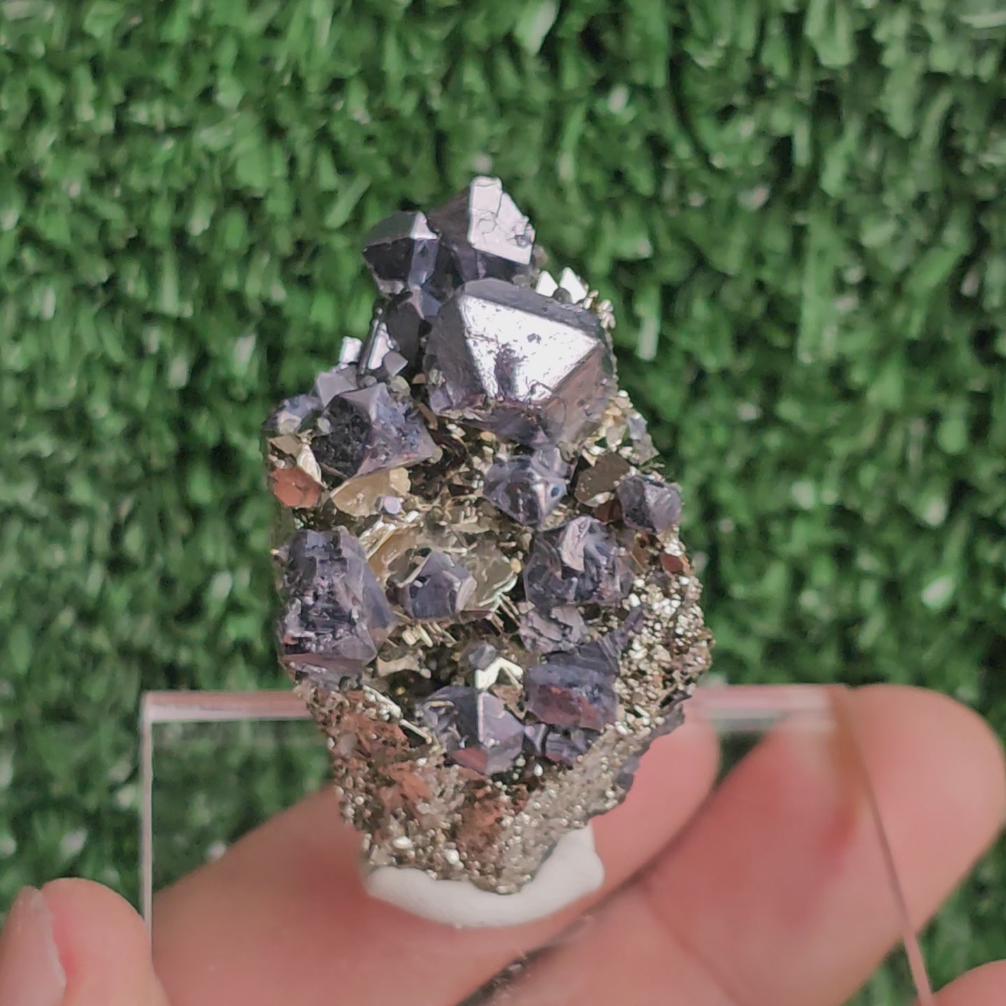 Load video: Galena with Pyrite octahedral