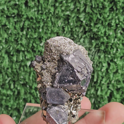 crystallized galena with Pyrite octahedral