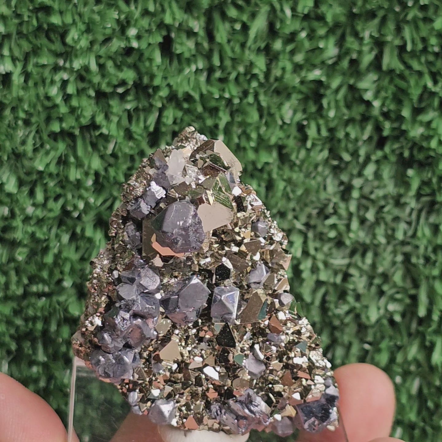 Load video: crystallized galena with Pyrite octahedral