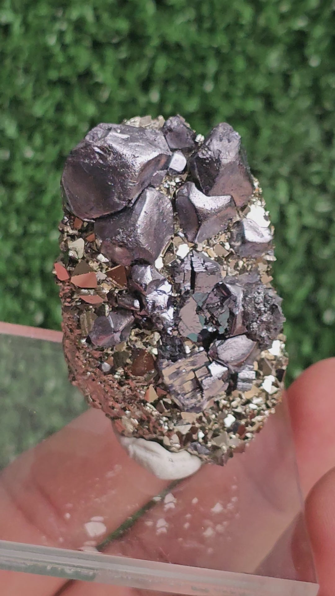 Load video: Galena with Pyrite octahedral