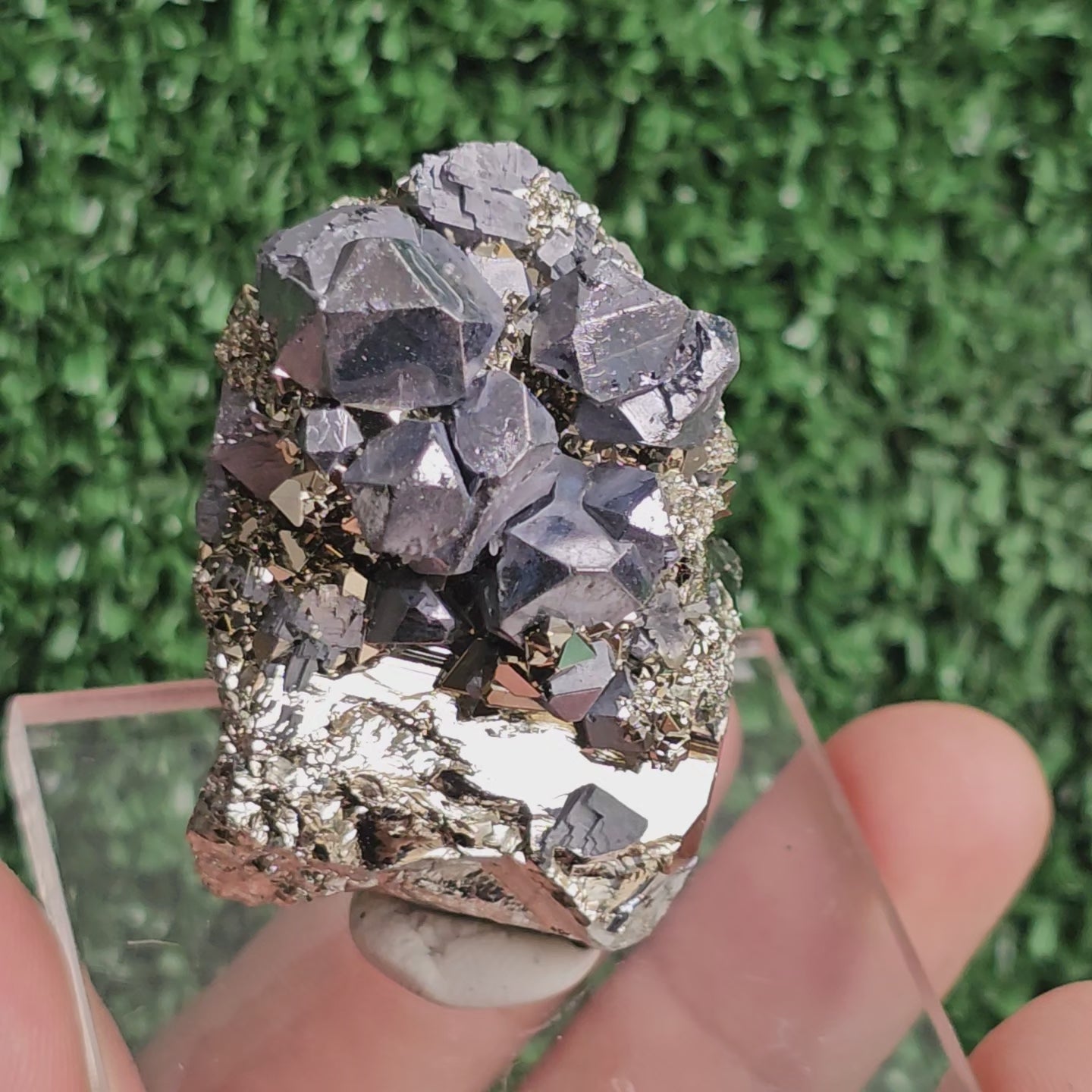 Load video: crystallized galena with Pyrite octahedral