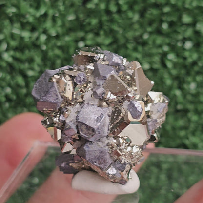 Galena with Pyrite octahedral