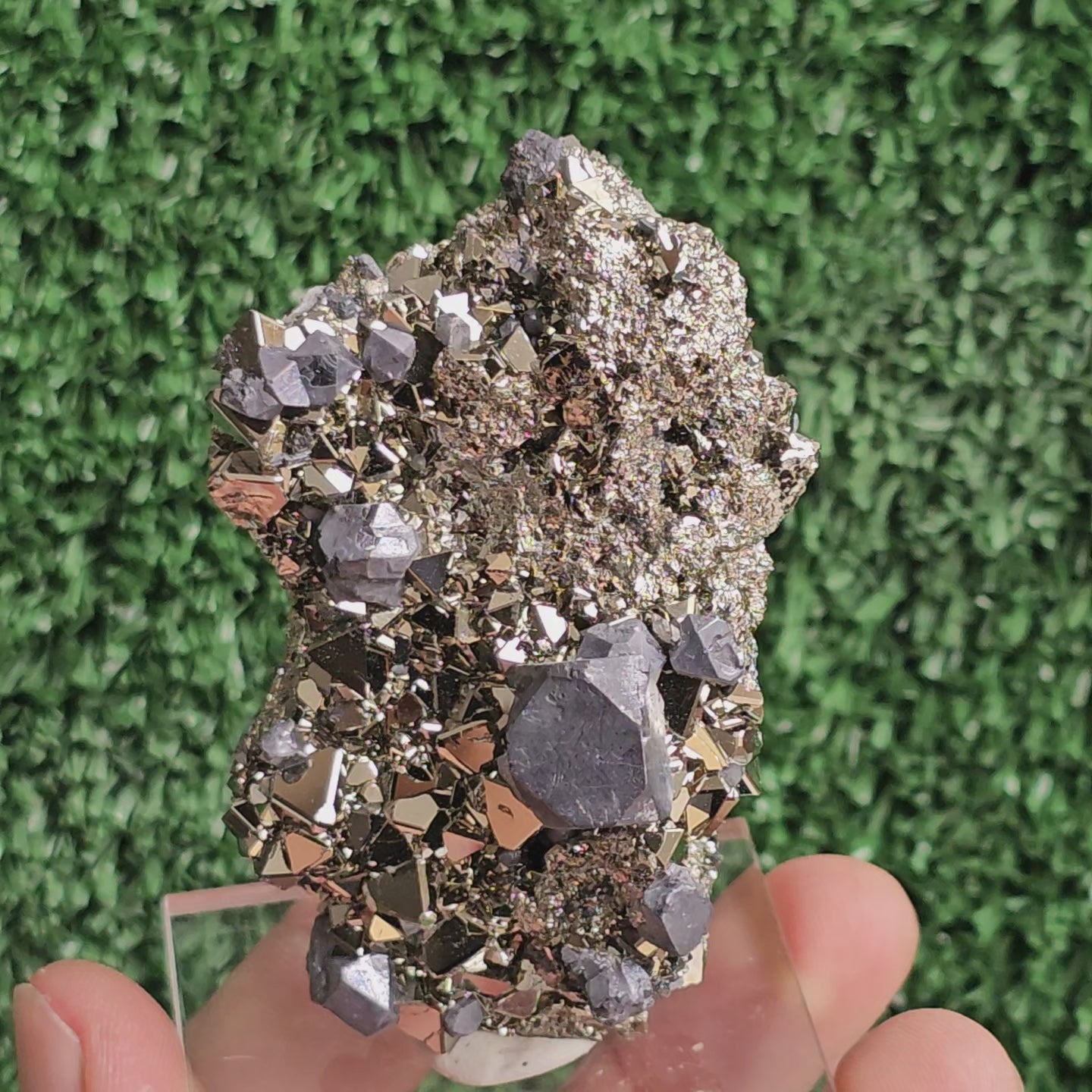 Load video: crystallized galena with Pyrite octahedral