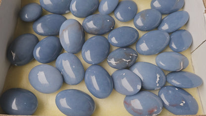 Lot 29 Angelite Palm