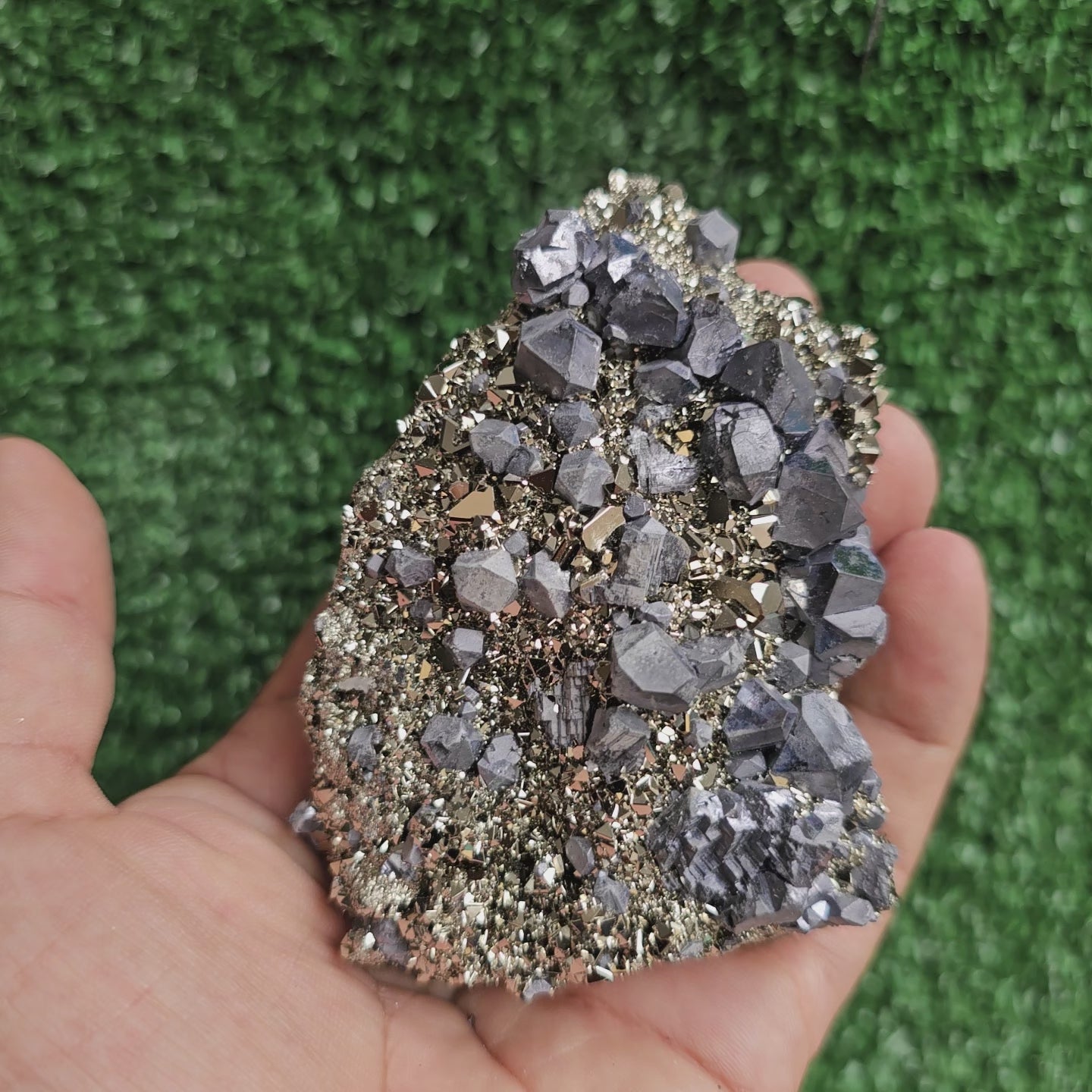 Load video: Galena Crystals on Octahedral Pyrite