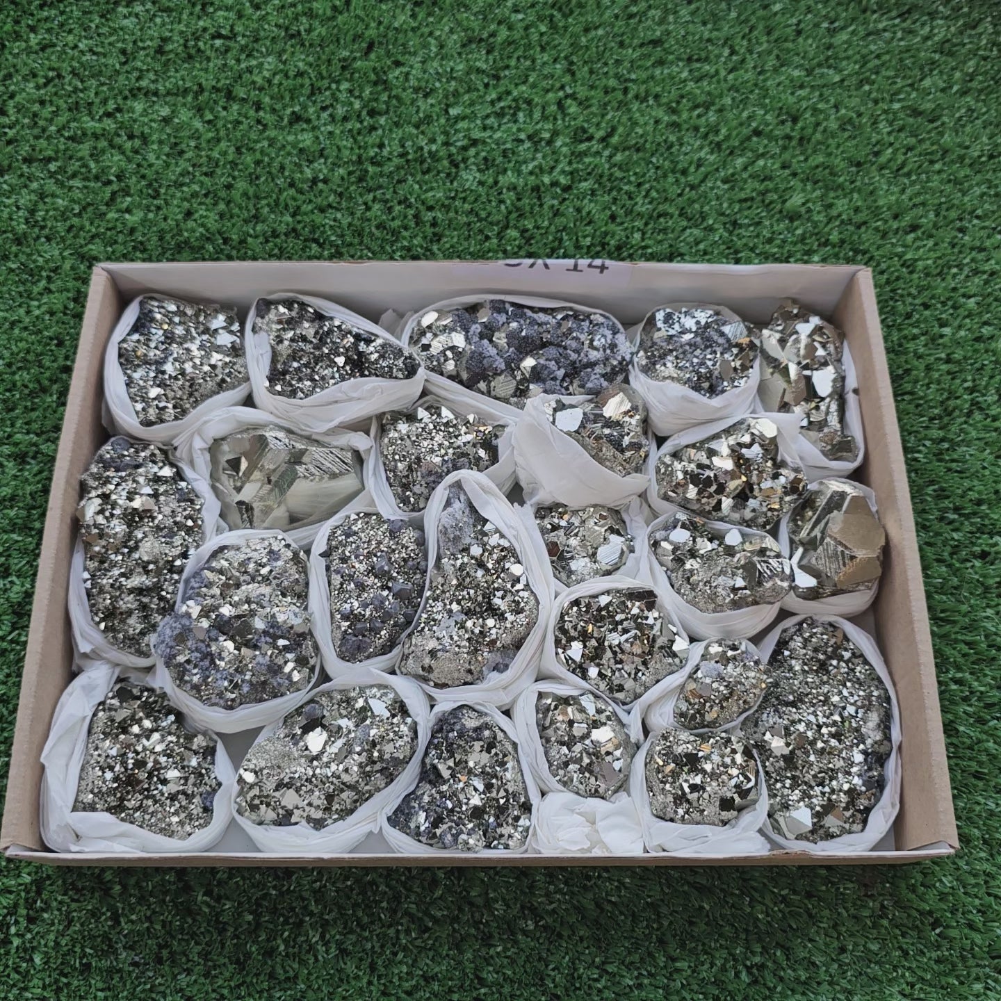 Load video: Box 24 pcs pyrite Octahedral