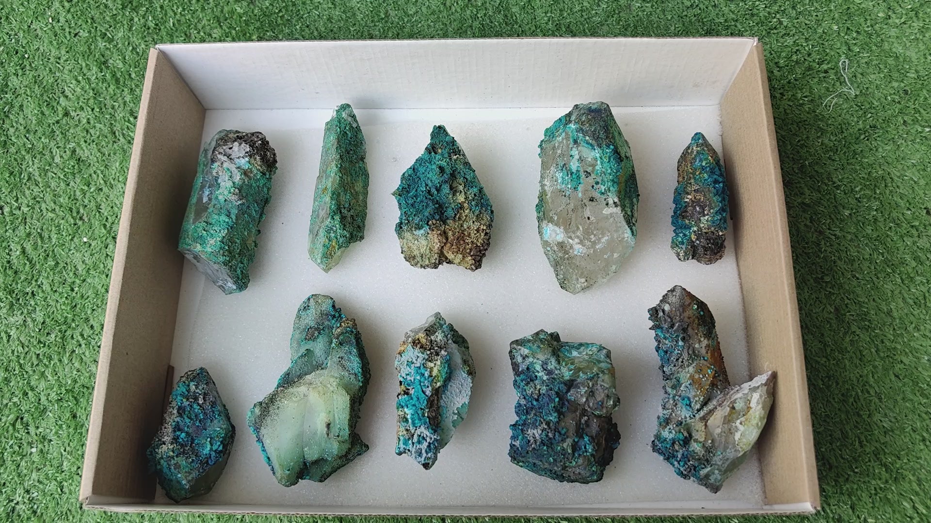 Load video: Lot 10 Chrysocolla on Quartz