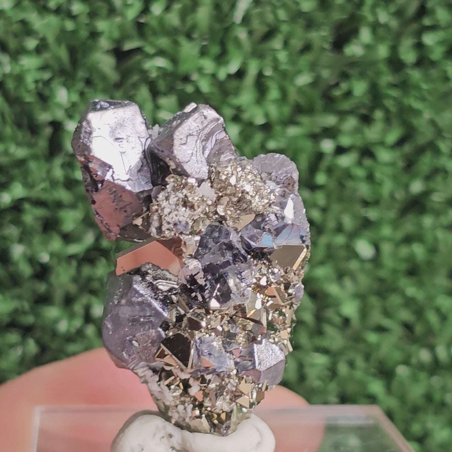 Load video: Galena with Pyrite octahedral