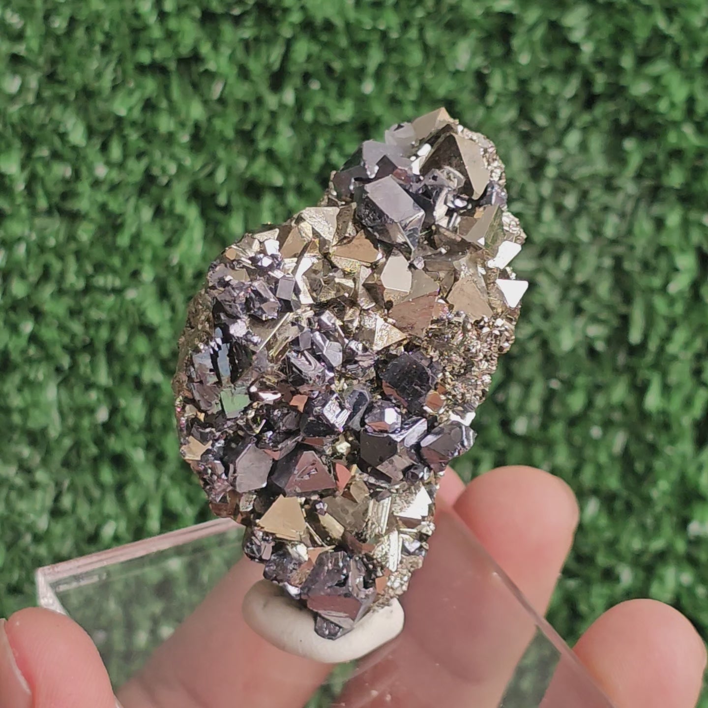 Load video: crystallized galena with Pyrite octahedral