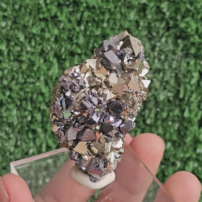 crystallized galena with Pyrite octahedral