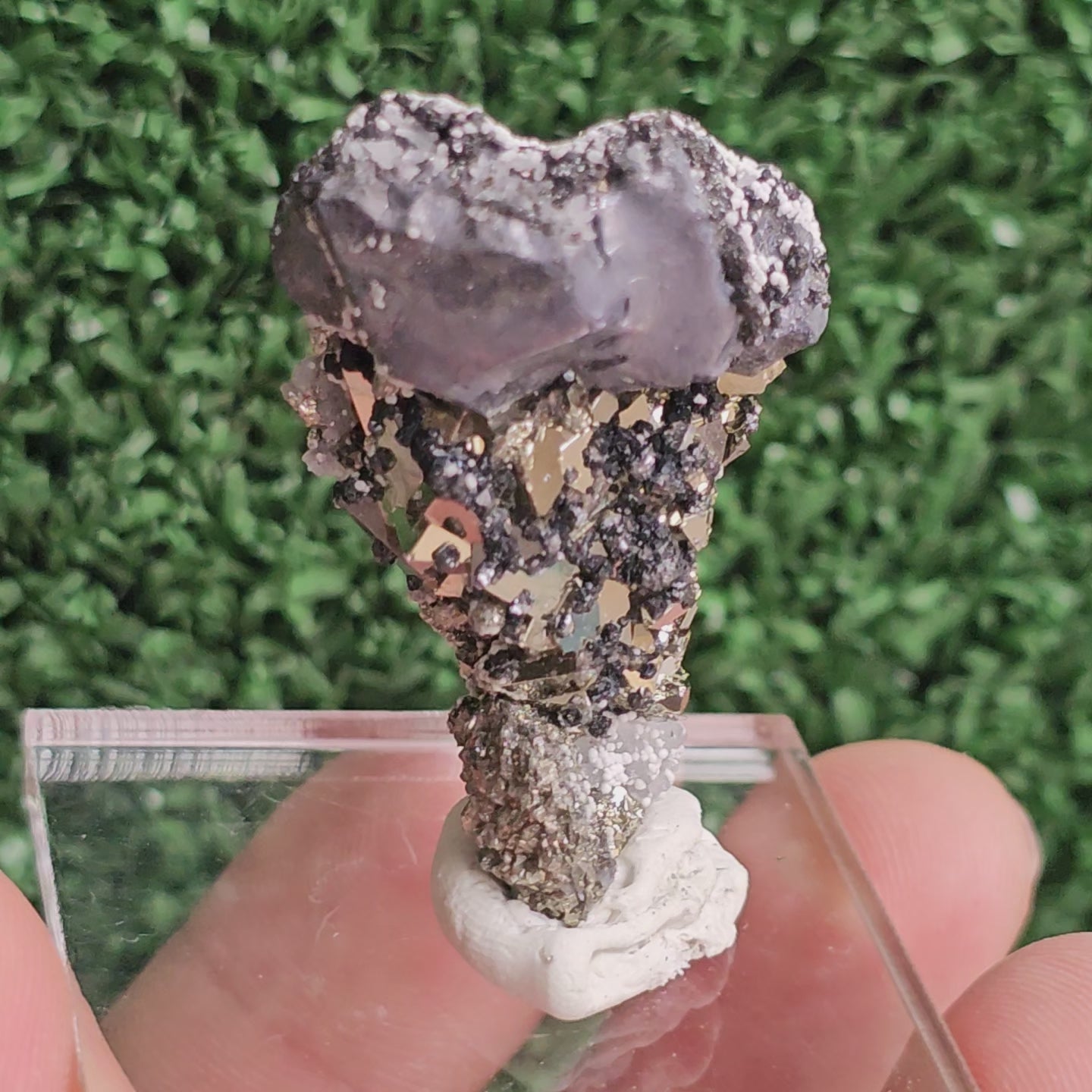 Load video: Galena with Pyrite octahedral