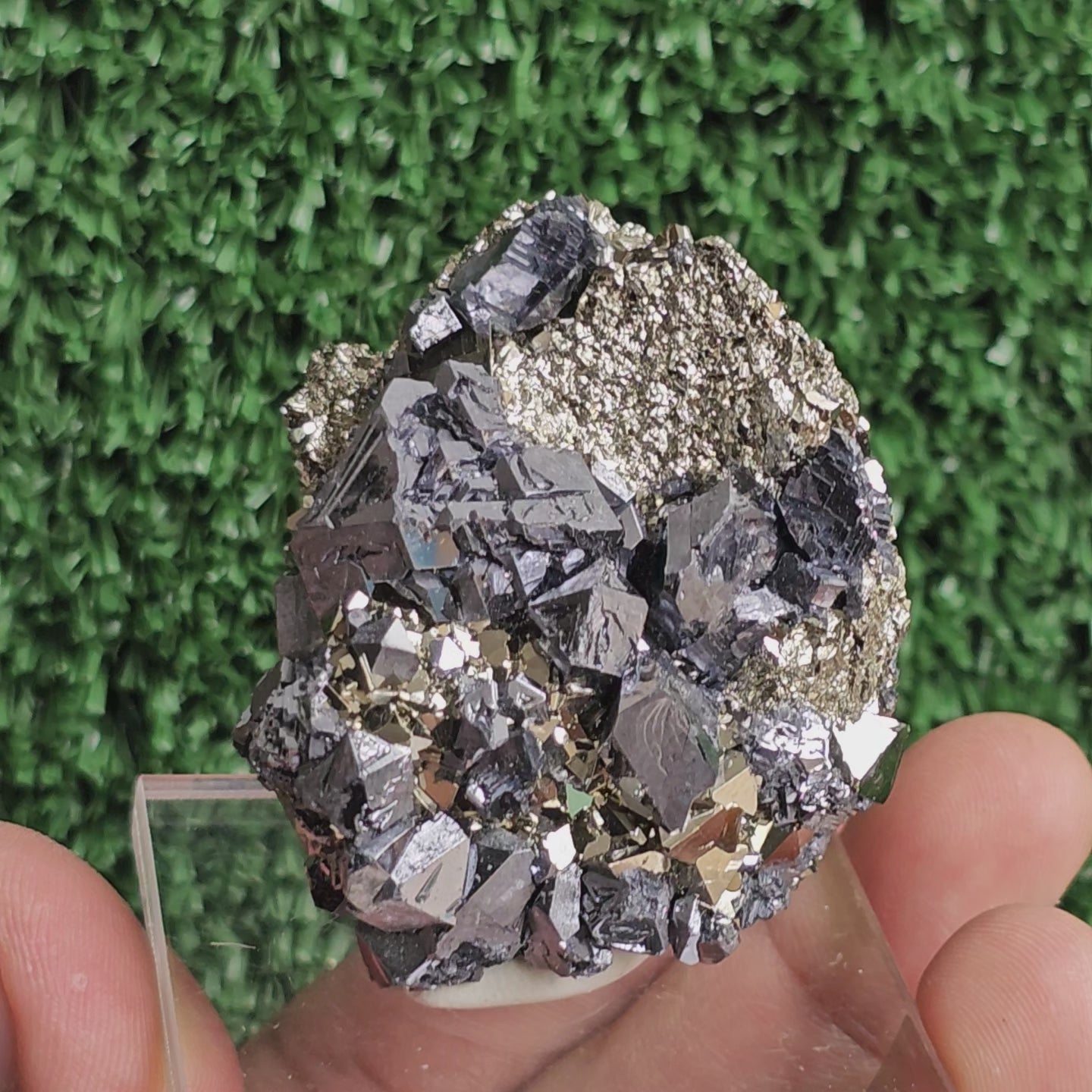 Load video: crystallized galena with Pyrite octahedral