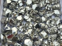 Load video: Box 70 pcs Pyrite Octahedral with Galena