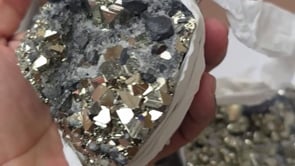 Load video: Box 8 pcs Pyrite Octahedral with Galena