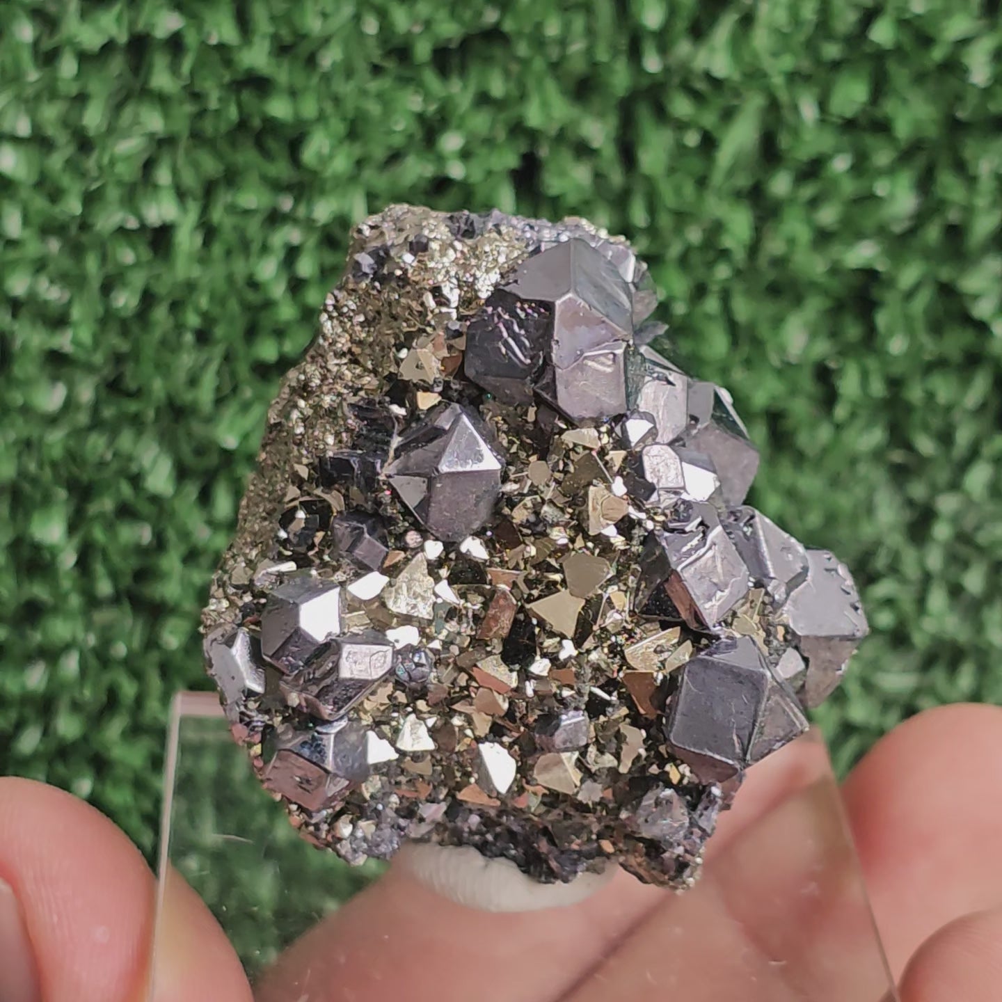 Load video: crystallized galena with Pyrite octahedral