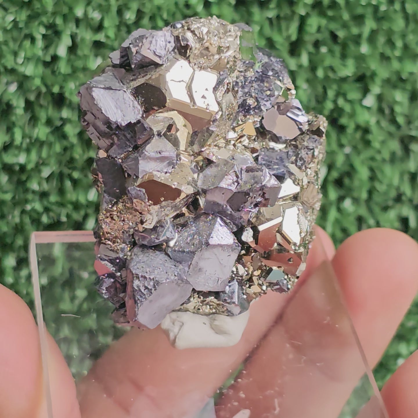 Load video: crystallized galena with Pyrite octahedral