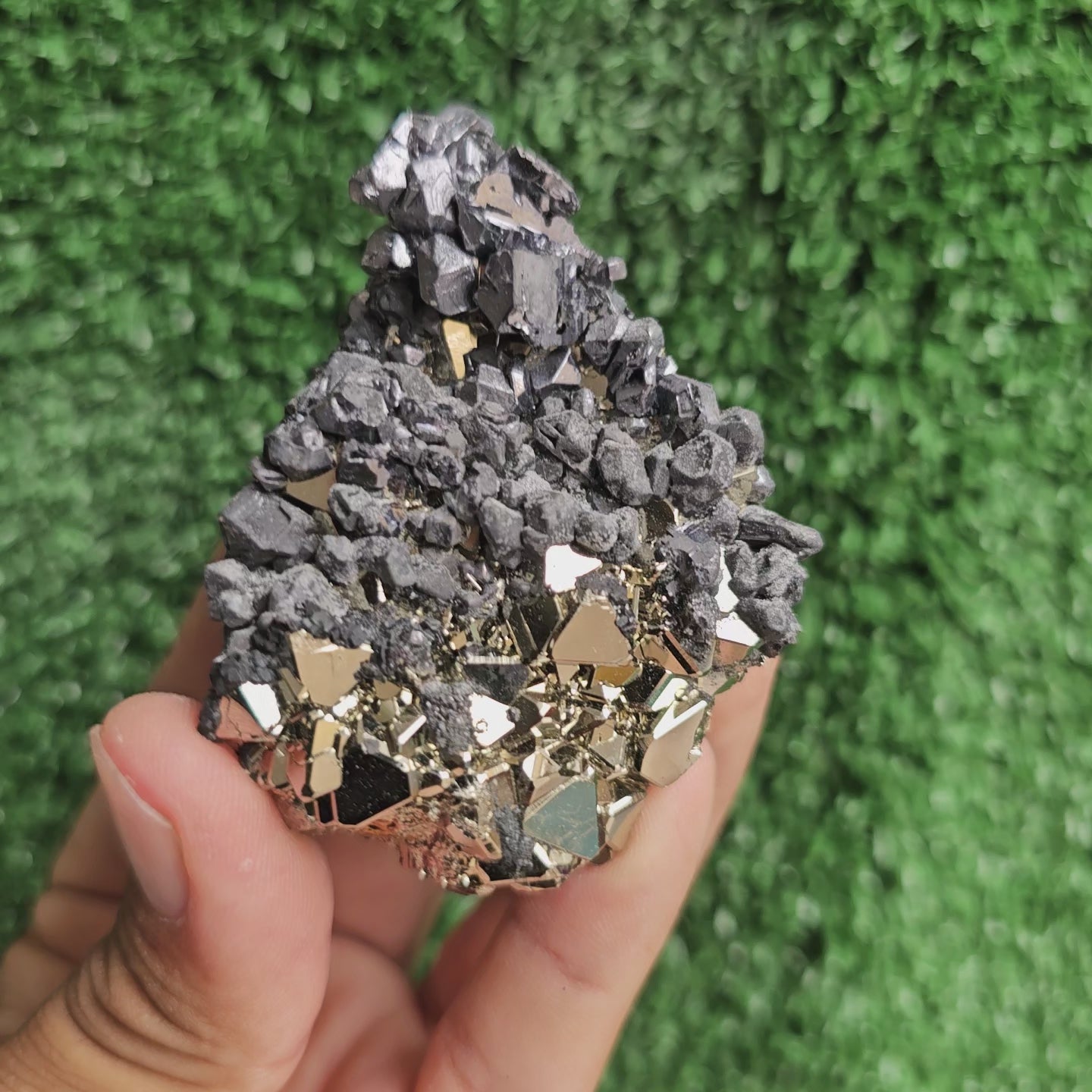Load video: crystallized galena with Pyrite octahedral