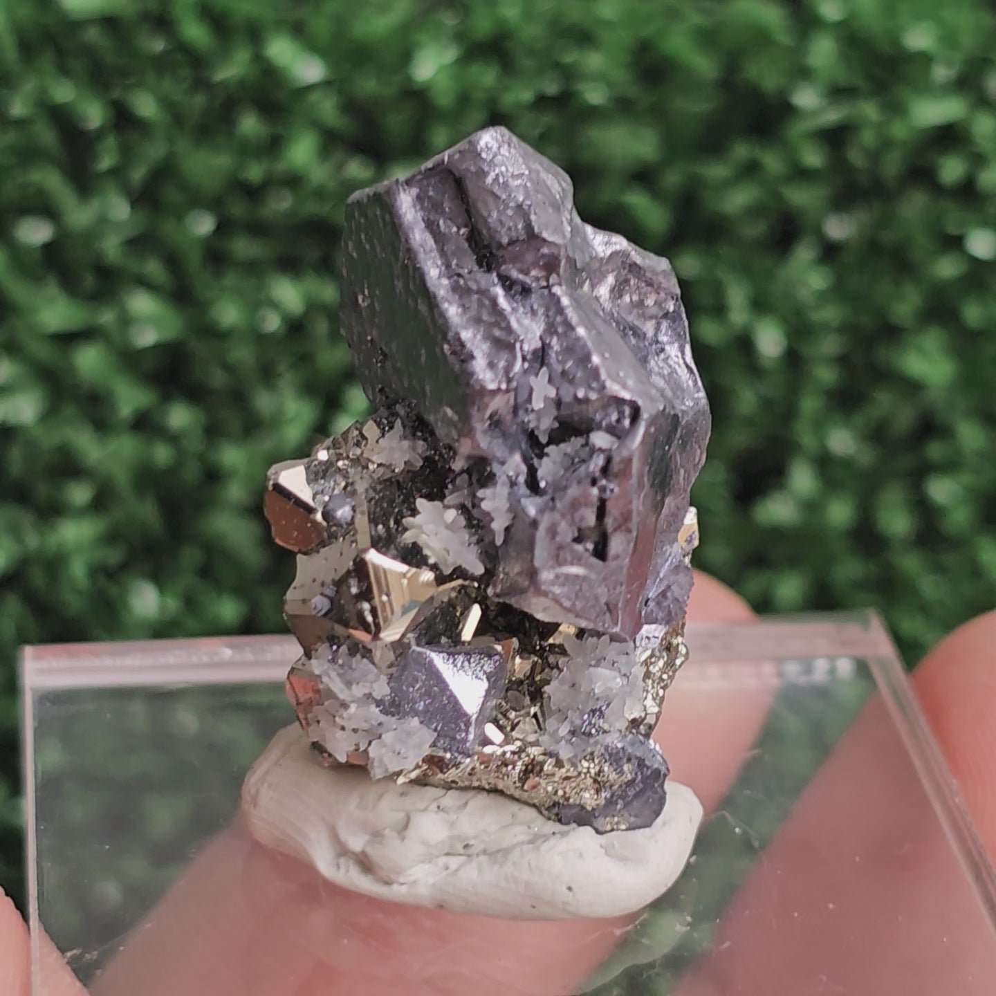 Load video: Galena with Pyrite octahedral