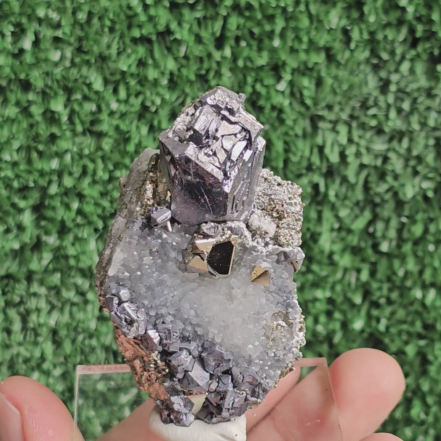 Load video: crystallized galena with Pyrite octahedral