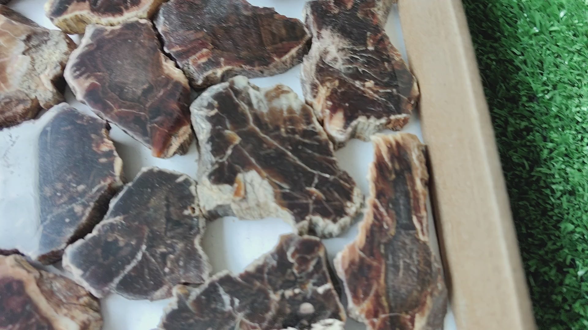 Load video: Lot 30 pcs Agatized Fossilized Wood Slices*