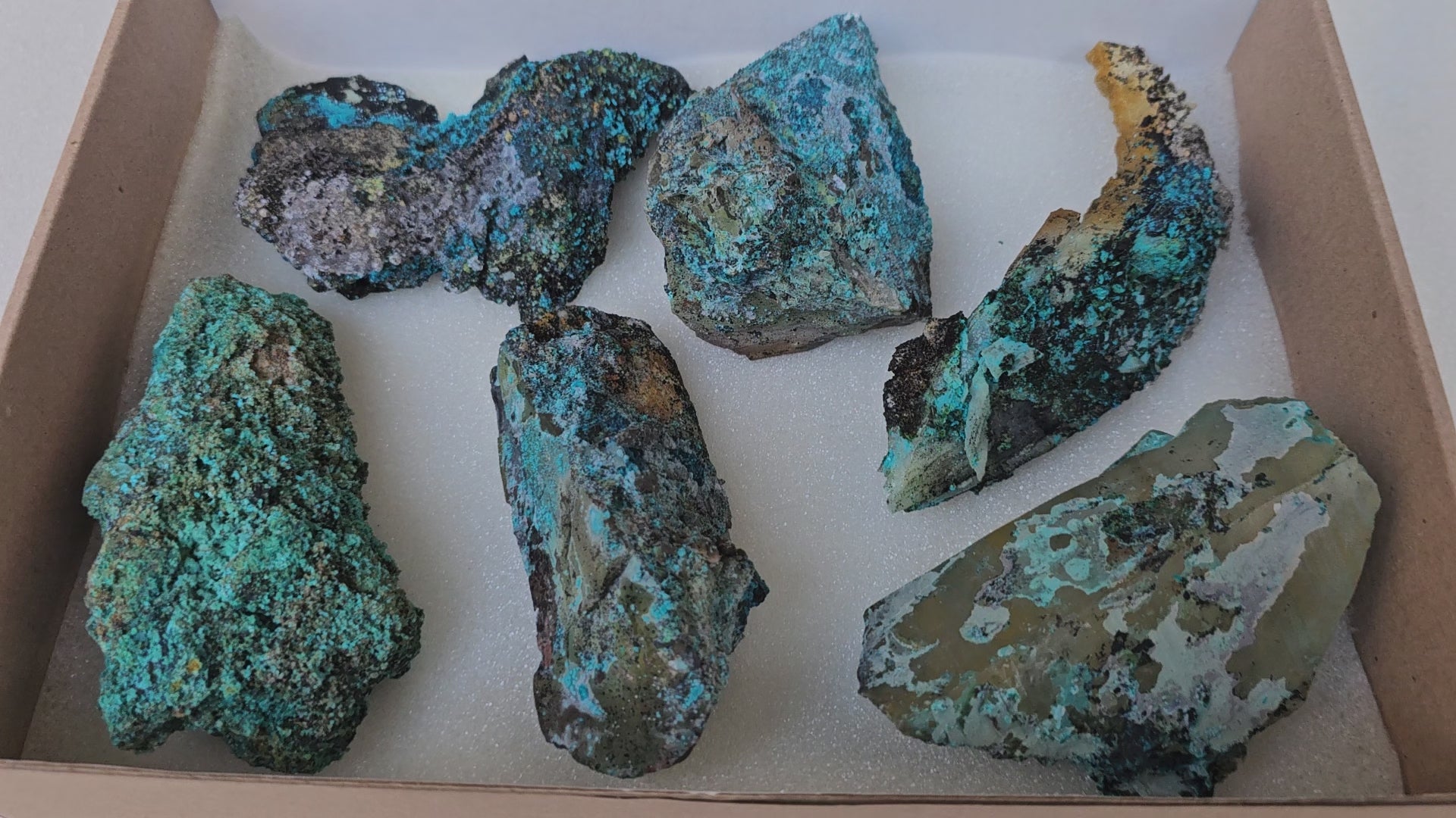 Load video: Lot 6 Chrysocolla Quartz Rough