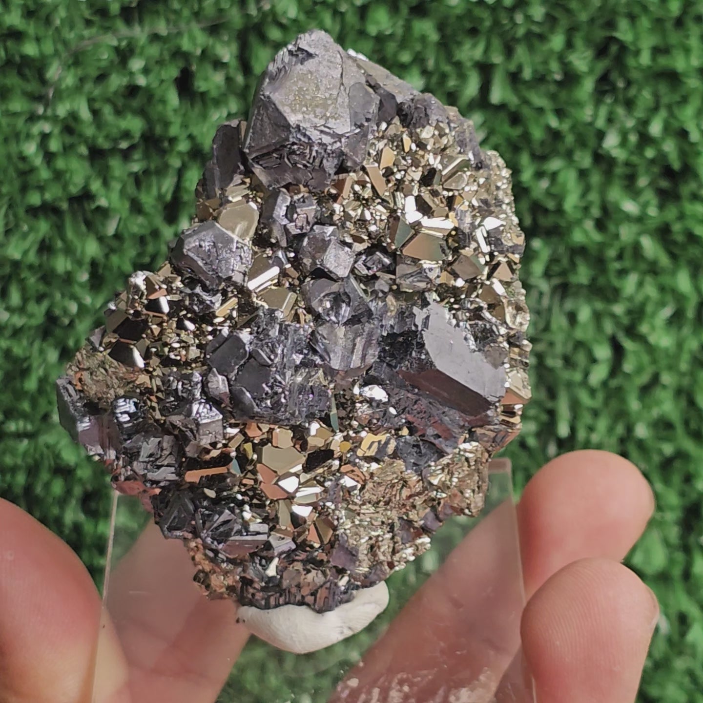 Load video: crystallized galena with Pyrite octahedral