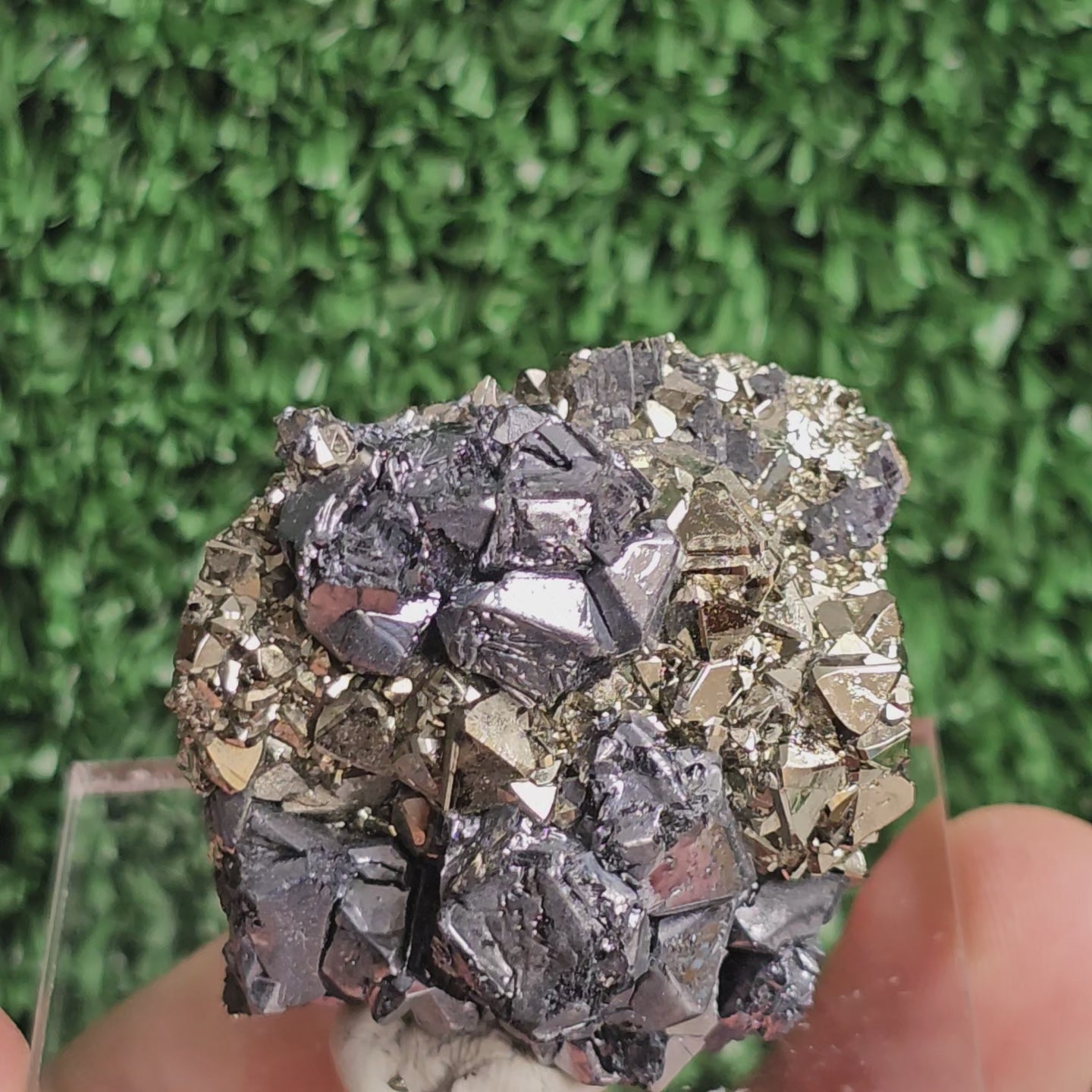 Load video: crystallized galena with Pyrite octahedral