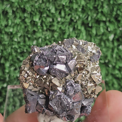 crystallized galena with Pyrite octahedral