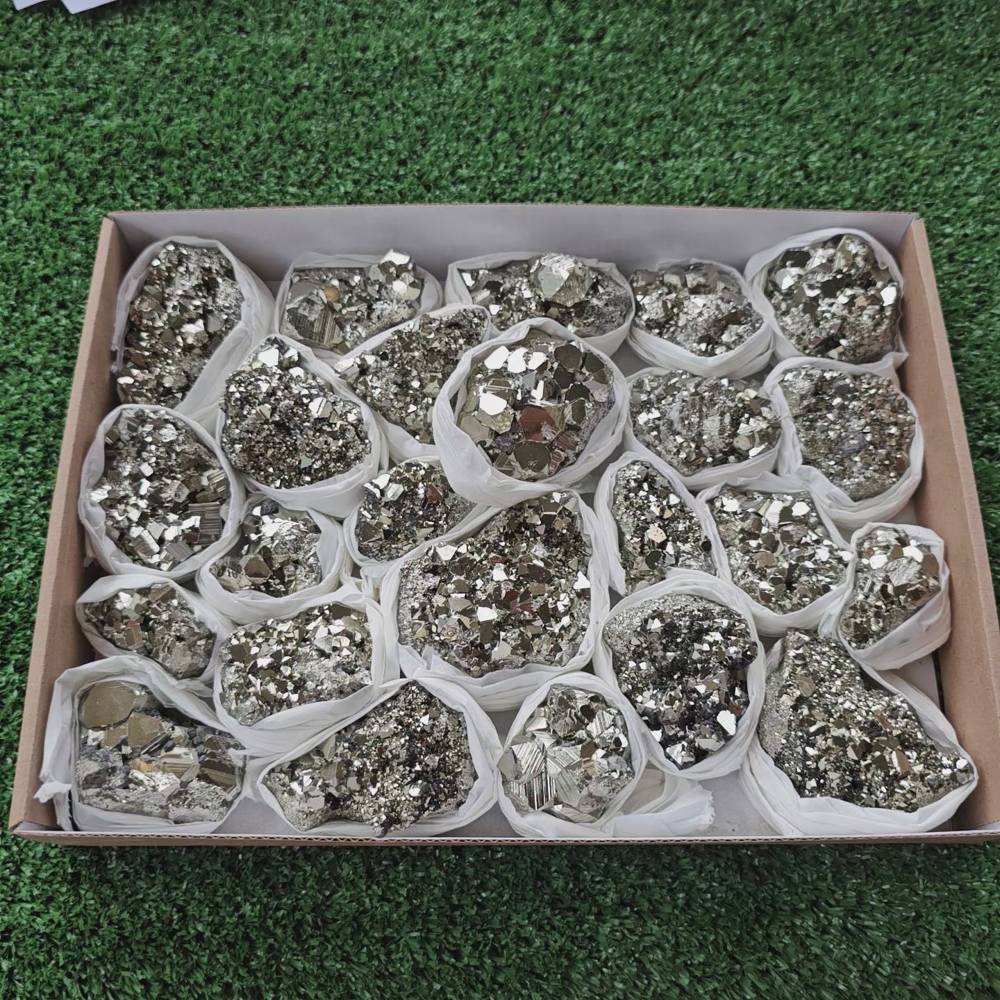 Load video: Box 24 pcs pyrite Octahedral