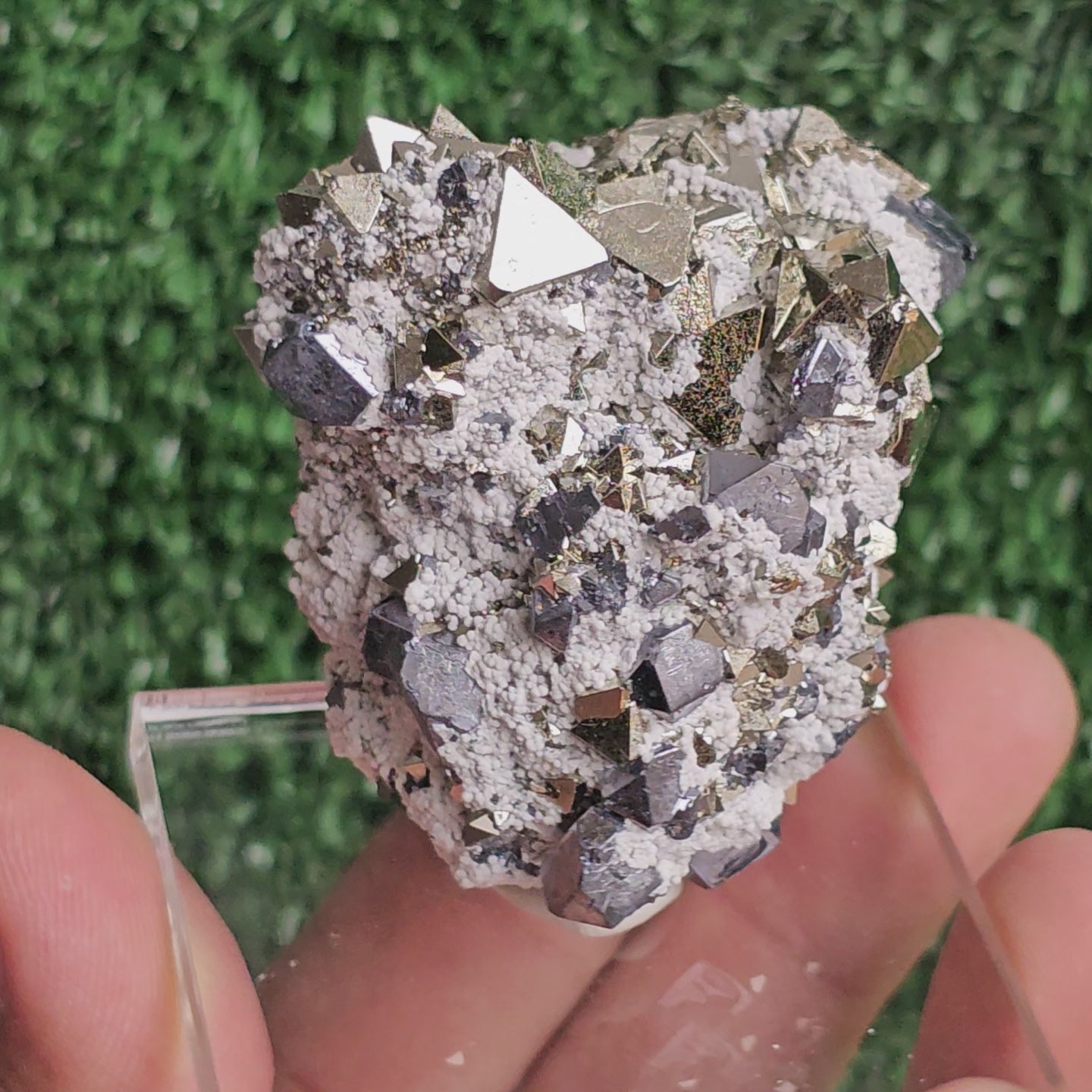 Load video: Galena with Pyrite octahedral