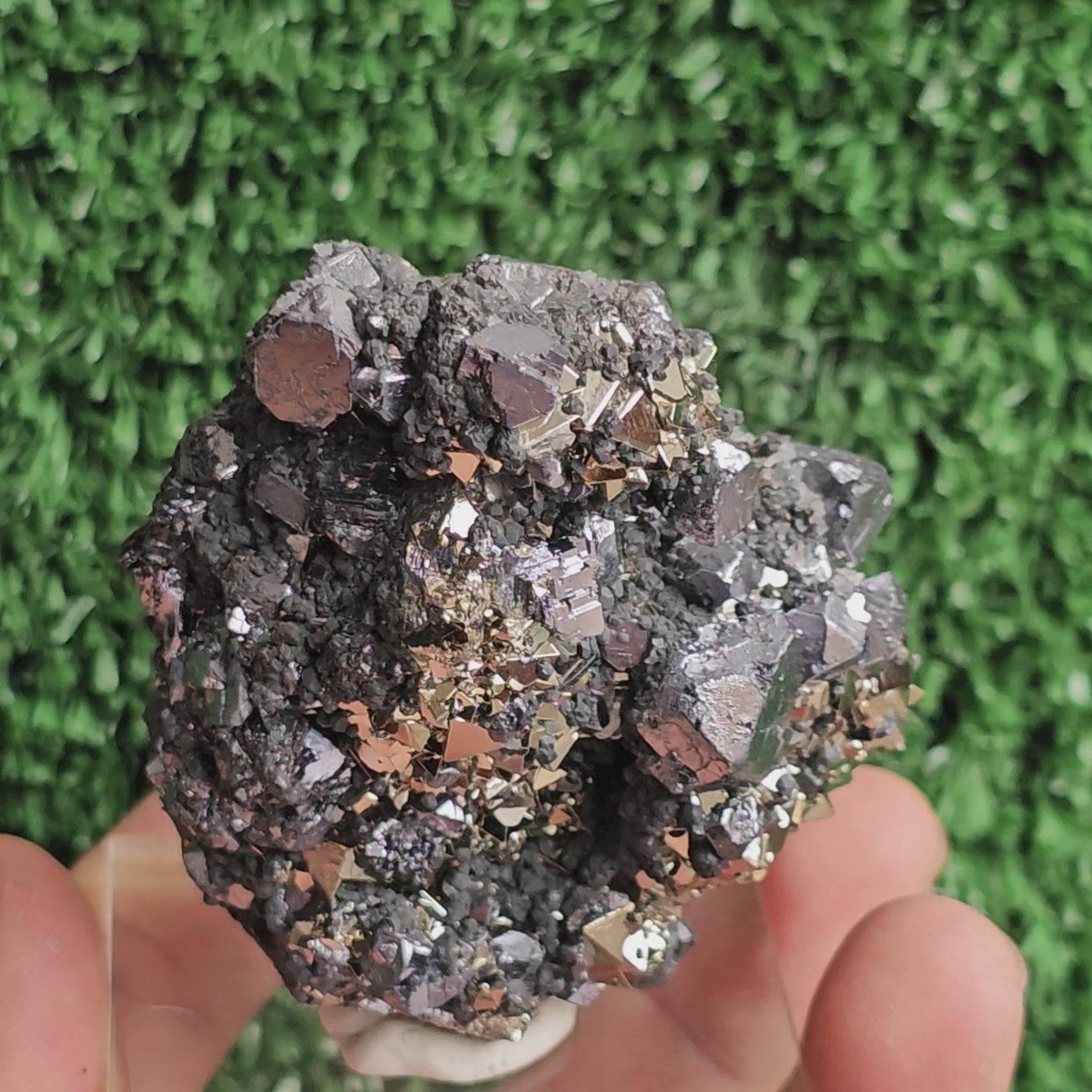 Load video: crystallized galena with Pyrite octahedral