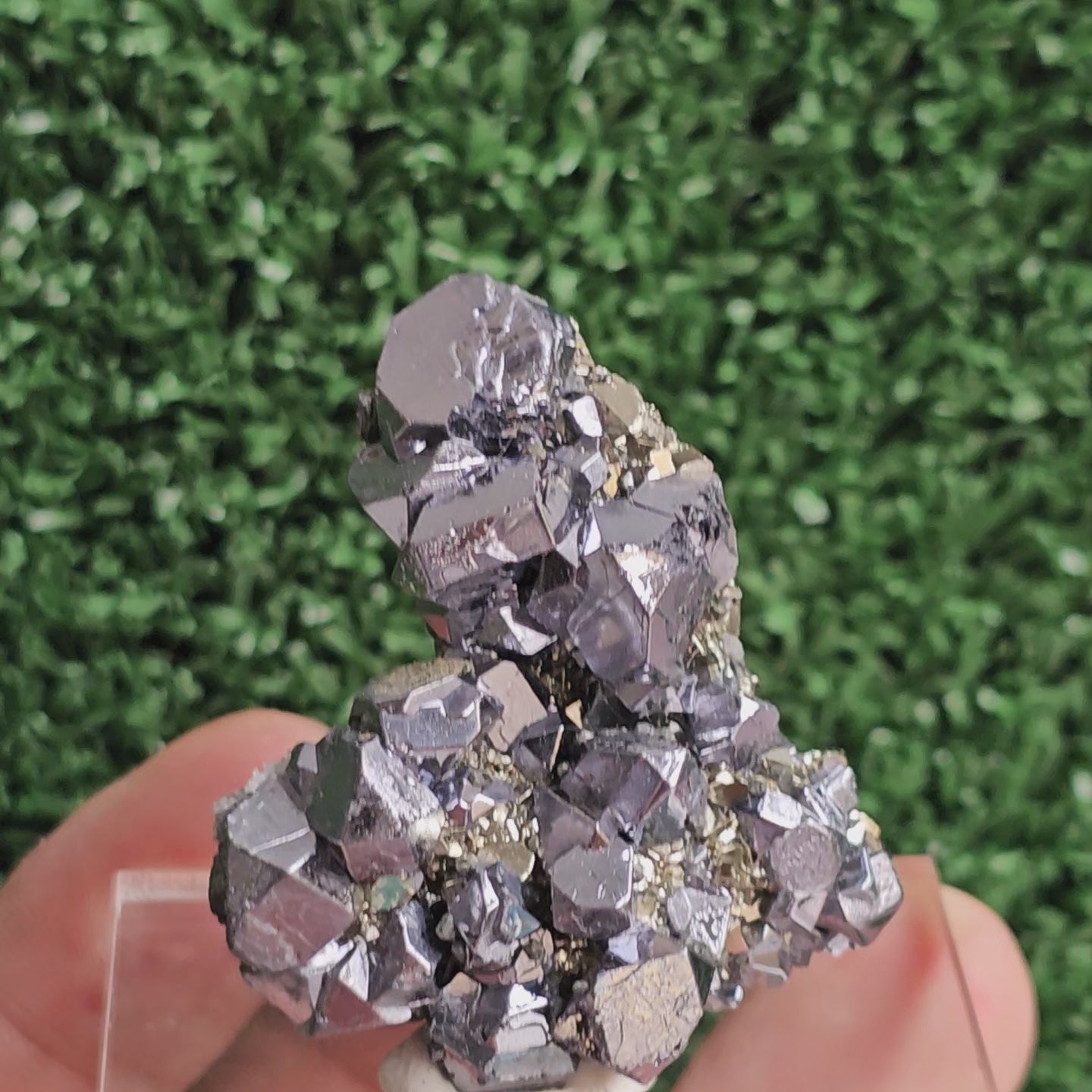 Load video: Galena with Pyrite octahedral