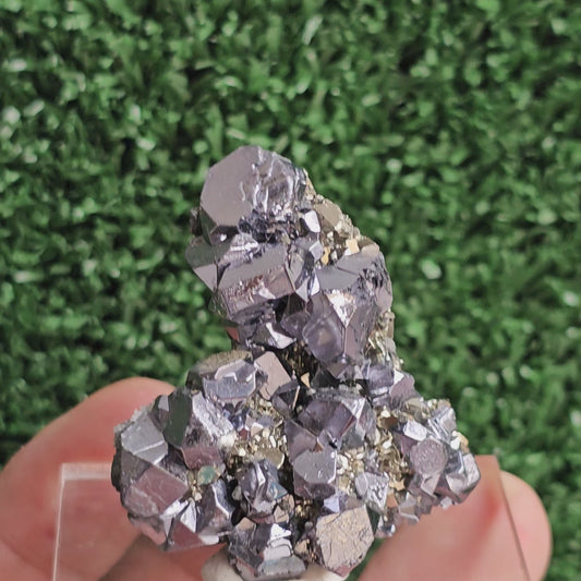 Galena with Pyrite octahedral